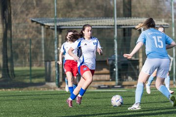 Bild 208 - F Hamburger SV 3 - Blau-Weiss 96 : Ergebnis: 5:1